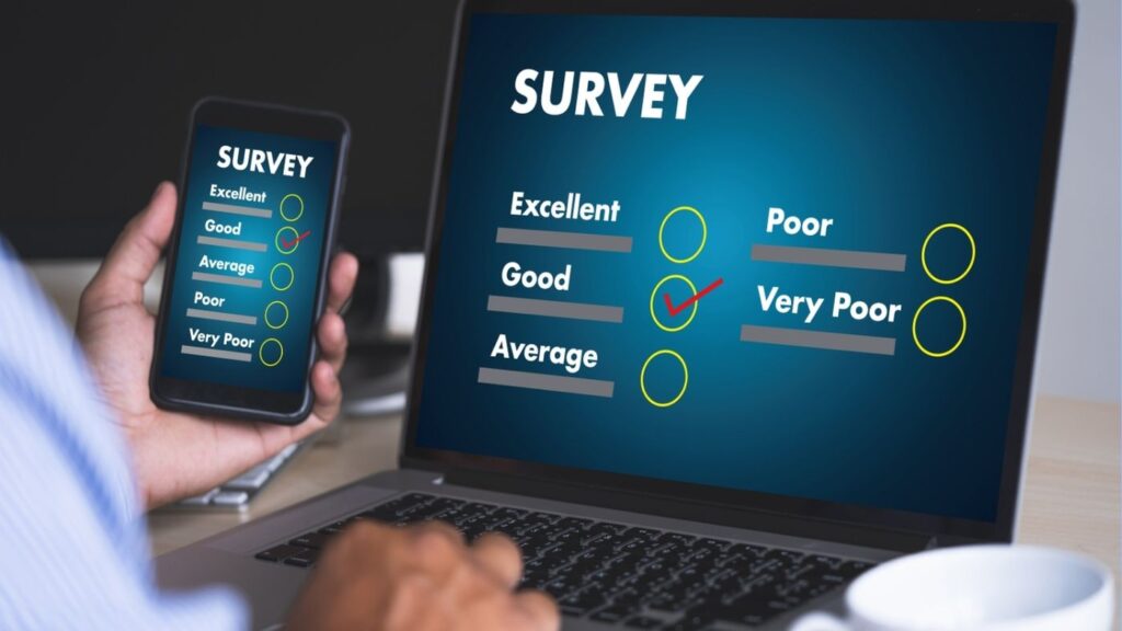 Online Surveys