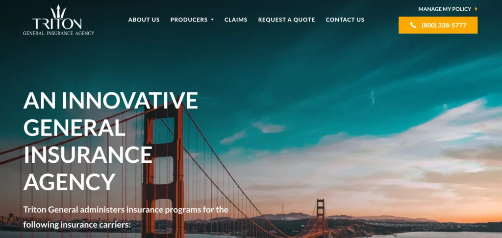 Triton Insurance: An Overview